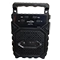 اسپیکر بلوتوثی قابل حمل گریت نایس مدل gts-1173